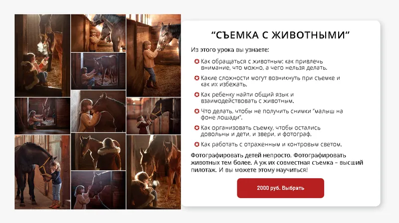 Скачать курс «[karneeva.online] Съемка с животными (Елена Карнеева)» — слив курса