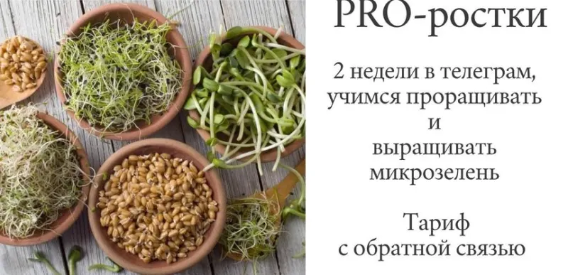 Скачать курс «[katrin_ecotrue] PRO-ростки (Екатерина Кудерцева)» — слив курса