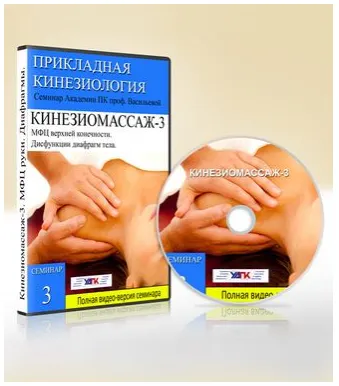 Скачать курс «Кинезиомассаж - 3. Мышечные цепи плечевого пояса (Евгения Чижикова)» — слив курса