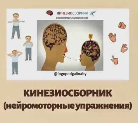 Скачать курс «Кинезиосборник нейромоторных упражнений (Галина Лашковская)» — слив курса