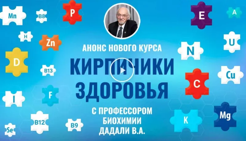 Скачать курс «Кирпичики здоровья (Владимир Дадали)» — слив курса