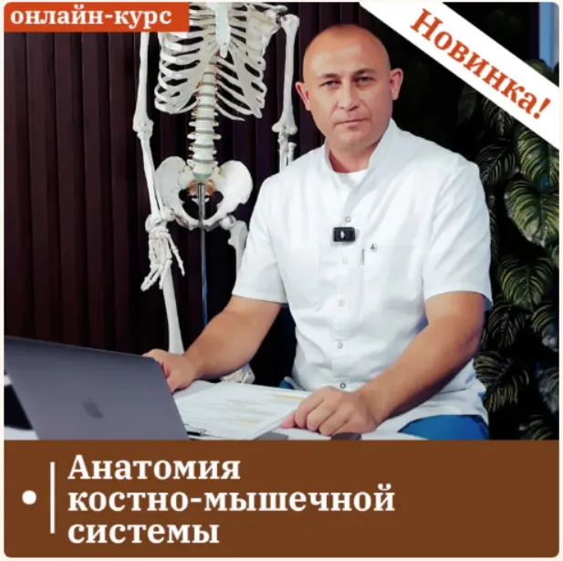 Скачать курс «[ККПК] Анатомия костно-мышечной системы (Антон Циванюк)» — слив курса