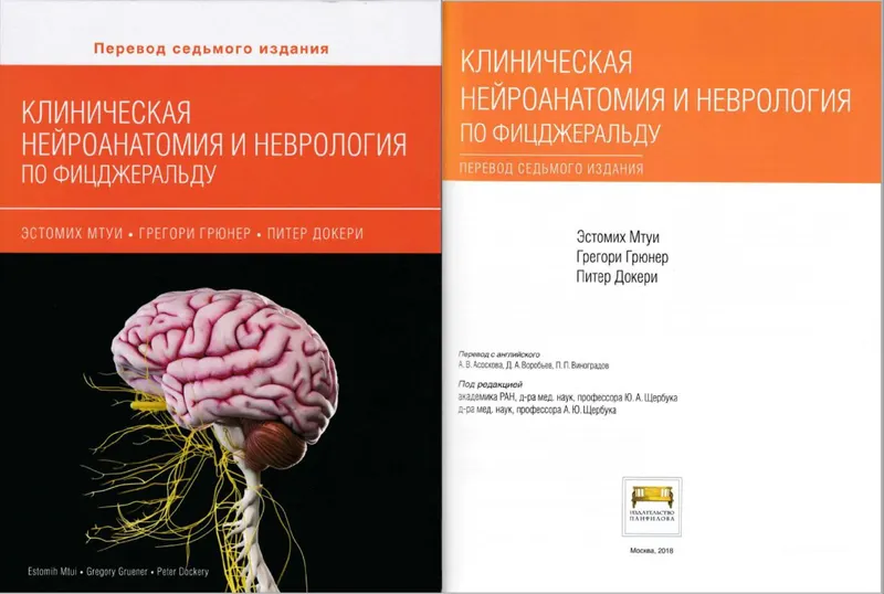 Скачать курс «Клиническая нейроанатомия и неврология по Фицджеральду (Эстомих Мтуи, Грегори Грюнер, Питер Докери)» — слив курса