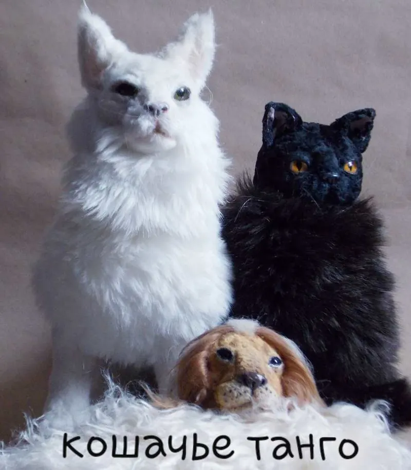 Скачать курс «Кошачье танго (Анна Степанова)» — слив курса