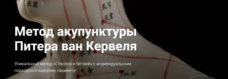 Скачать курс «[Краниосакральная академия] Акупунктура по Нэй Цзин. Семинар 12 (Питер ван Кервель)» — слив курса