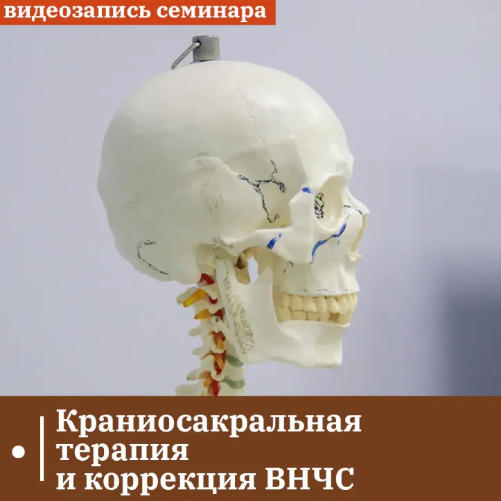 Скачать курс «Краниосакральная терапия и коррекция ВНЧС (Григорий Крутов)» — слив курса