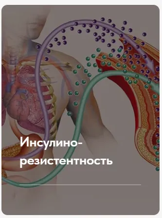 Скачать курс «Лечебный протокол Инсулинорезистентность. Тариф Без обратной связи (Елена Ержанова)» — слив курса