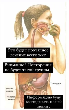 Скачать курс «Лечим ЖКТ (Яна Степанова)» — слив курса