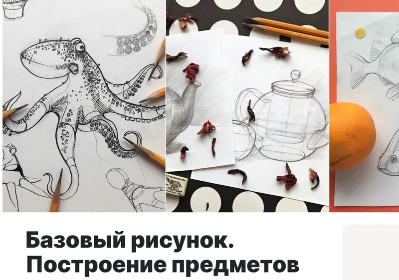 Скачать курс «[Lectoroom] Базовый рисунок. Построение предметов (Александра Сухорукова)» — слив курса