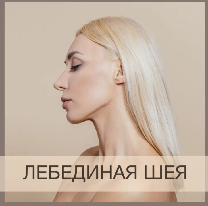 Скачать курс «Лебединая шея (Анна Дерюгина)» — слив курса