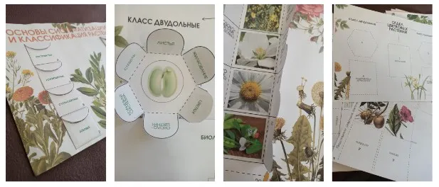 Скачать курс «Лэпбук "Основы систематизации и классификация растений" (Татьяна Марышева)» — слив курса