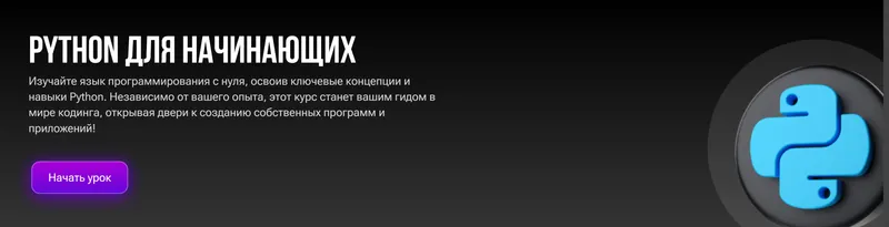 Скачать курс «Python для начинающих (Константин Сергеев)» — слив курса