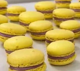 Скачать курс «Печенье Макаронс (Мария Манахова)» — слив курса