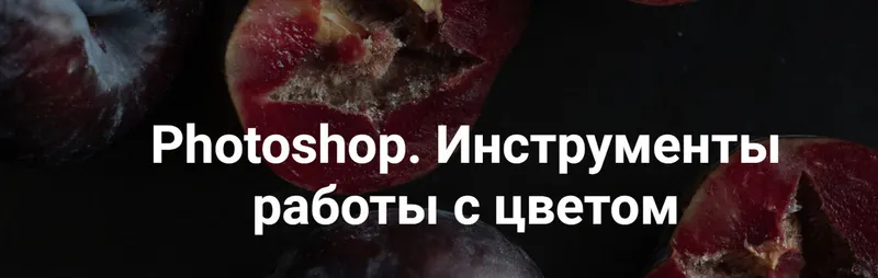 Скачать курс «Photoshop. Инструменты работы с цветом, 2024 (Ольга Паволга)» — слив курса