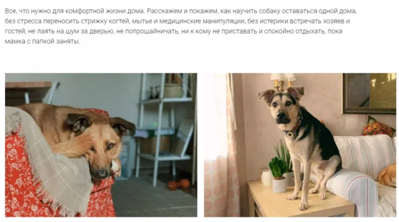 Скачать курс «[Pi-Bo] Бытовое воспитание. Минимальный (Надя Пигарева, Оксана Тюльпинова)» — слив курса