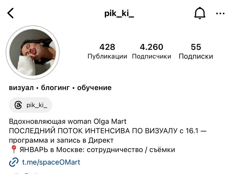 Скачать курс «[pik_ki_] Интенсив по визуалу (Ольга Март)» — слив курса