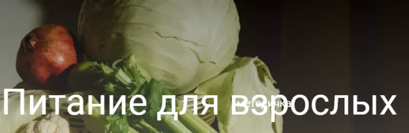 Скачать курс «Питание для взрослых (Валентина Жукова)» — слив курса
