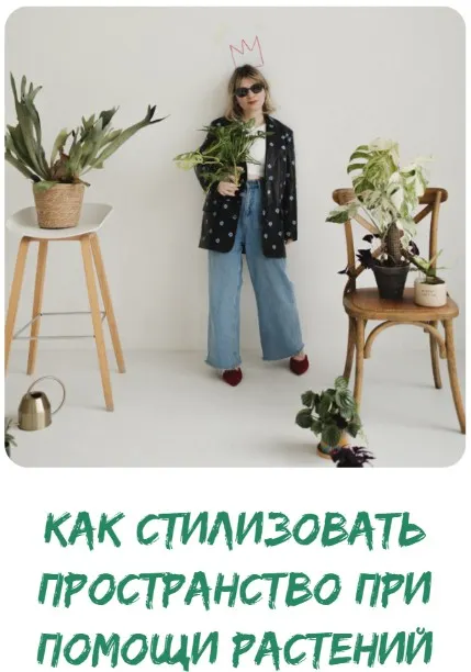 Скачать курс «[plants.coach] Как стилизовать пространство при помощи растений. Тариф Самостоятельный (Яна Строинская)» — слив курса
