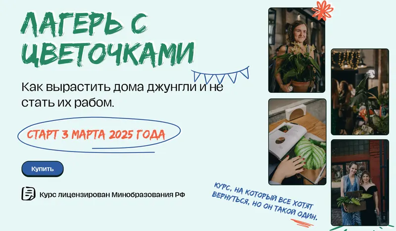 Скачать курс «[Plants.Coach] Лагерь с цветочками 2025. Тариф Основной. 15 поток (Яна Строинская)» — слив курса
