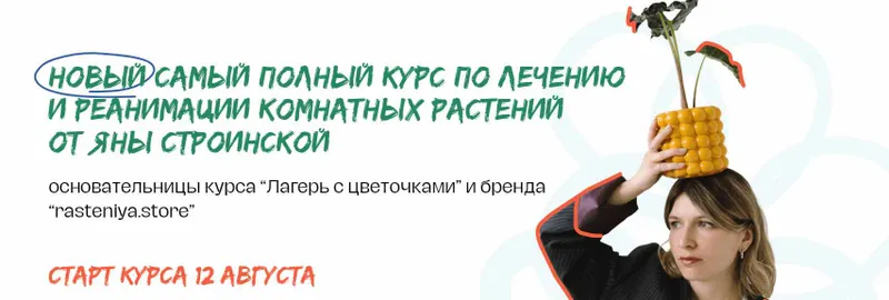 Скачать курс «[plants.coach] Самый полный курс по лечению и реанимации комнатных растений. Тариф Самостоятельный (Яна Строинская)» — слив курса