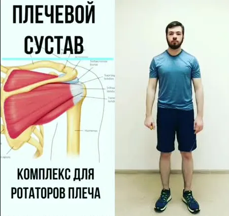 Скачать курс «Плечевой сустав. Тесты и упражнения (Андрей Богатырев)» — слив курса