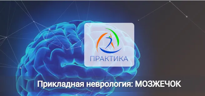 Скачать курс «[Практика] Прикладная неврология: Мозжечок (Мария Недре)» — слив курса