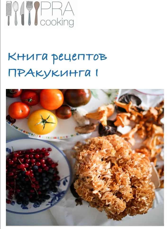 Скачать курс «[Пракукинг] Книга рецепнтов I» — слив курса