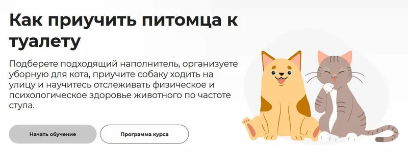 Скачать курс «[Правое полушарие интроверта] Как приучить питомца к туалету (Вероника Латыпова)» — слив курса