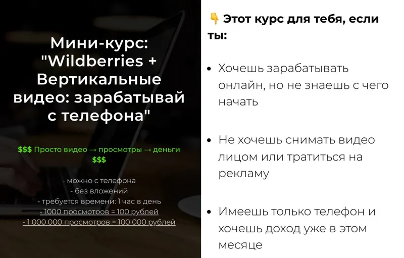 Скачать курс «Wildberries + Вертикальные видео: Зарабатывай с телефона (Александр Пуминов)» — слив курса