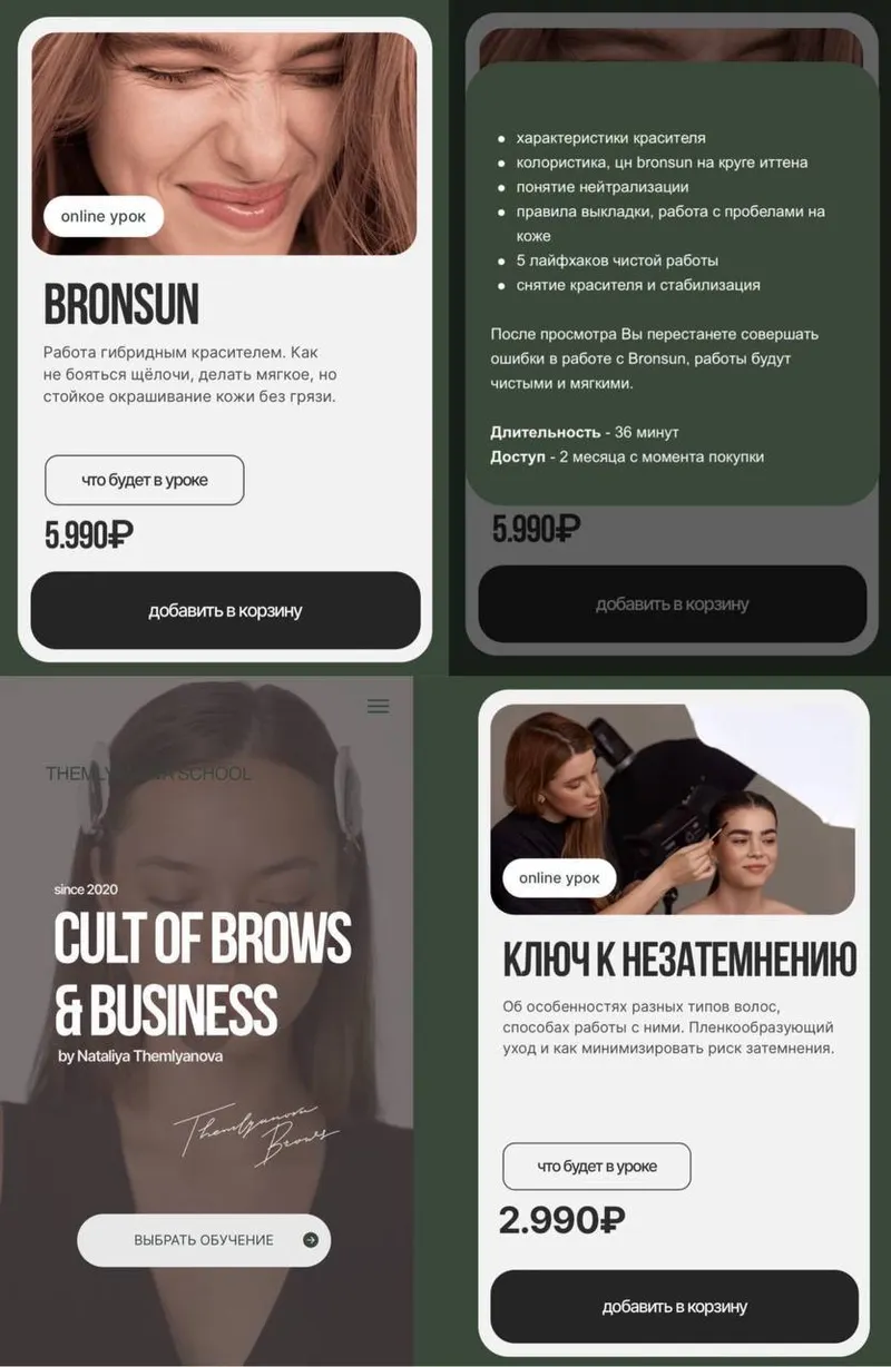 Скачать курс «BRONSUN + HULTOFBROWS & BUSINESS (Nataliya Themlyanova)» — слив курса