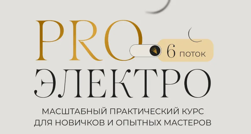 Скачать курс «ProЭлектро. 6 поток. Тариф Я сама (Галина Орлова)» (pro электро) — слив курса