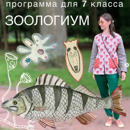 Скачать курс «Программа Зоологиум. 7 класс (Алина Чабуткина)» — слив курса