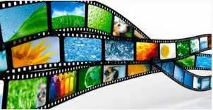 Скачать курс «Простое создание анимационных видео для бизнеса (Евгений Фридман)» — слив курса