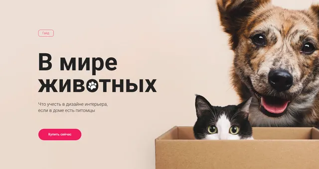 Скачать курс «[Просто Ремонт] Гайд В мире животных (Ксюша Измайлова)» — слив курса
