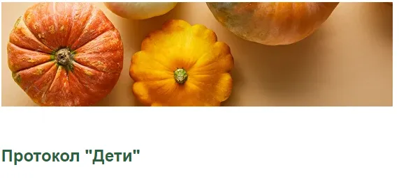 Скачать курс «Протокол Дети (Светлана Литвиненко)» — слив курса