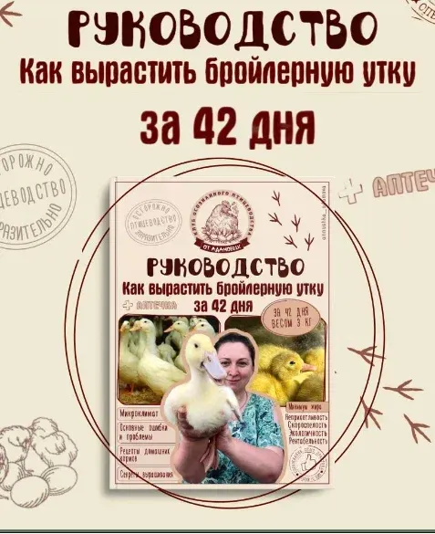 Скачать курс «Руководство.  Как вырастить бройлерную утку за 42 дня (Анна Адамова)» — слив курса