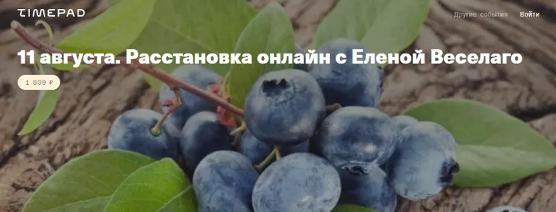 Скачать курс «Расстановка онлайн. 11 августа (Елена Веселаго)» — слив курса