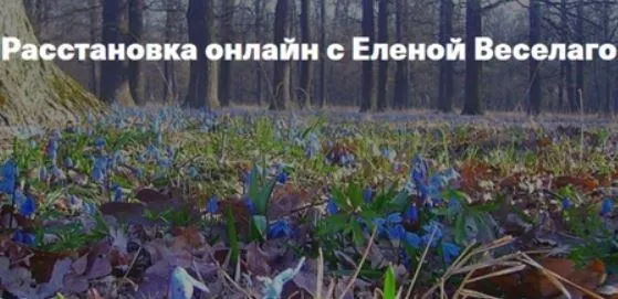 Скачать курс «Расстановка онлайн. 25 ноября (Елена Веселаго)» — слив курса