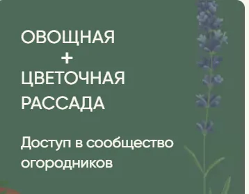 Скачать курс «Рассада без досады. Овощная + цветочная рассада (Анна Акинина)» — слив курса