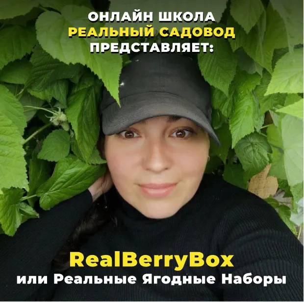 Скачать курс «RealBerryBox. Плодись и размножайся (Татьяна Холомьева)» — слив курса