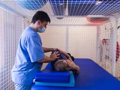 Скачать курс «Роль специалиста по физической реабилитации в системе медицинской реабилитации (Татьяна Кузьминова)» — слив курса