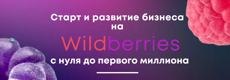 Скачать курс «Старт и развитие бизнеса на Wildberries. Тариф Первые деньги (Александр Меркулов)» — слив курса