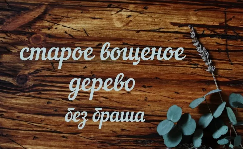 Скачать курс «Старое вощеное дерево без браша (Людмила Михайловская)» — слив курса