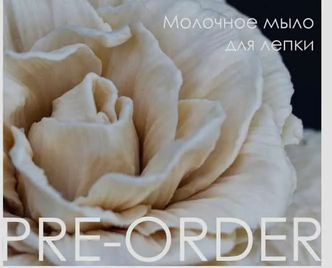 Скачать курс «[Steso_tutorial] Молочное мыло для лепки (Татьяна Стезо)» — слив курса
