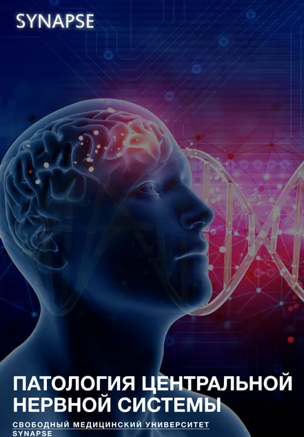 Скачать курс «[Synapse] Методичка по патологии ЦНС» — слив курса