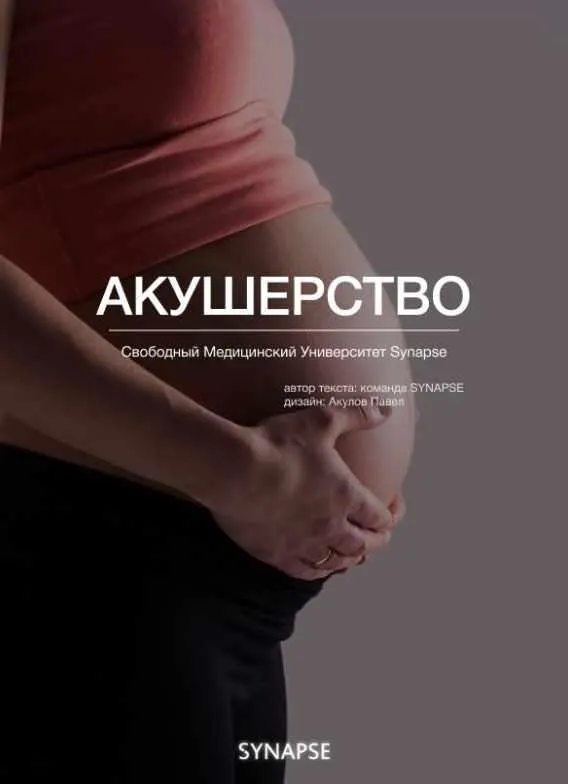 Скачать курс «[Synapse] Учебник по акушерству» — слив курса