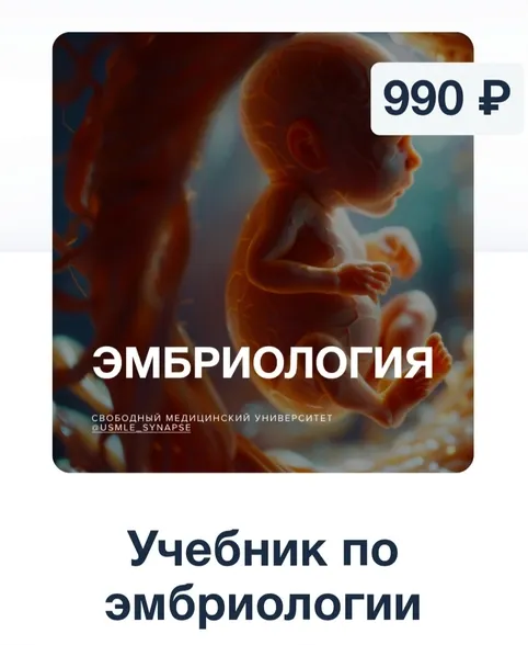 Скачать курс «[Synapse] Учебник по эмбриологии» — слив курса
