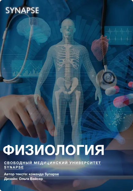 Скачать курс «[Synapse] Учебник по физиологии» — слив курса