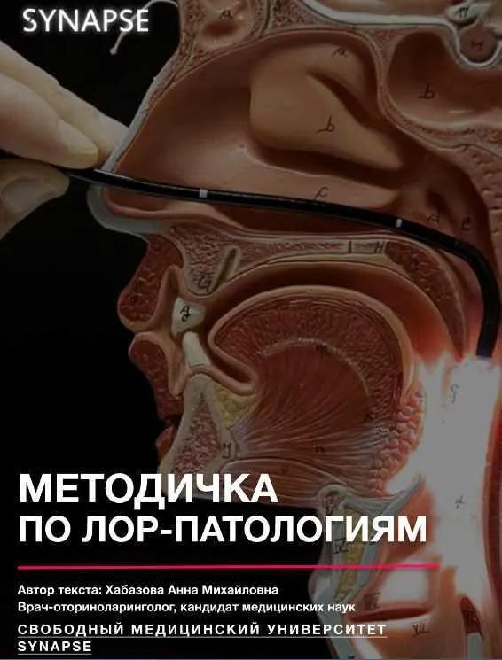 Скачать курс «[Synapse] Учебник по ЛОР-патологии» — слив курса