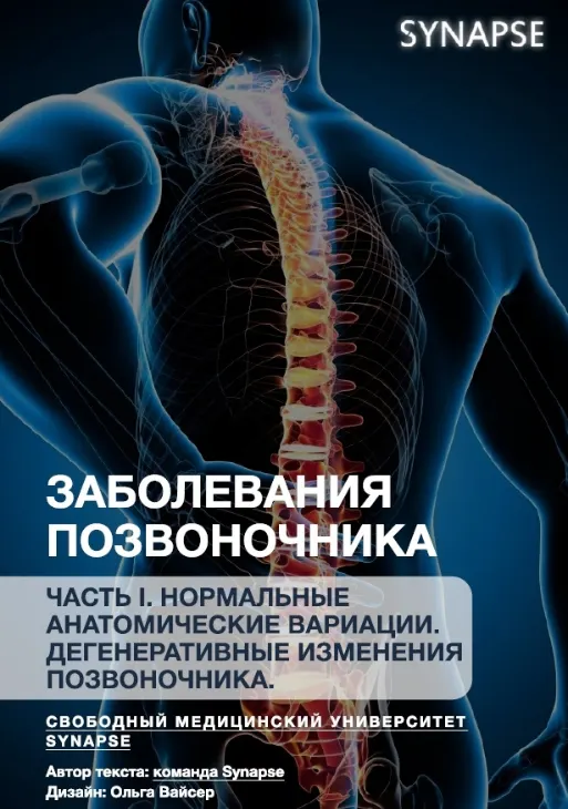 Скачать курс «[Synapse] Учебник по заболеваниям позвоночника часть 1» — слив курса